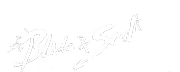 Blade & Soul official English logo